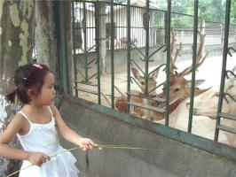 Chengdu Zoo
